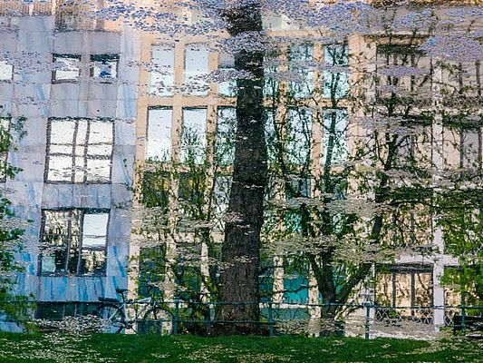 Spiegelung von Gebäuden und Bäumen in einer Pfütze (© romeo ninov/EyeEm - stock.adobe.com)